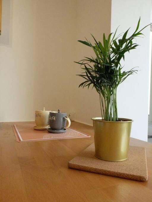 Apartamento Cozy En Centre-ville